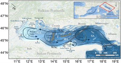 Spatio-temporal connectivity and dispersal seasonal patterns in the Adriatic Sea using a retention clock approach